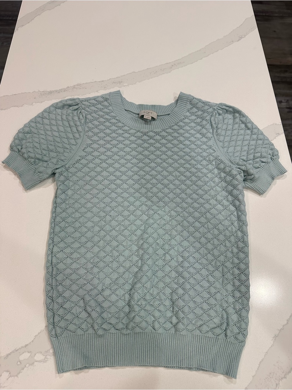 LOFT Pale Aqua Pointelle Short Sleeve Knit Top